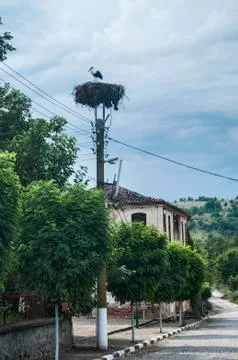 White stork in a nest Stock Photos