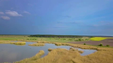 White storks fly over lake and fields Stock Footage 130455328