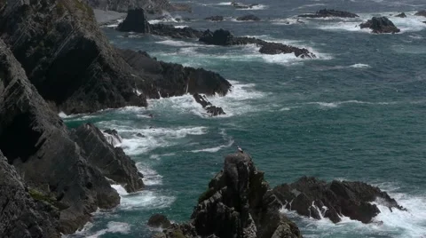 White storks nest Stock Footage 51330603