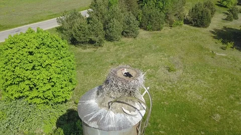 White stork's nest Stock Footage 92116760