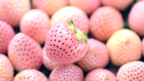 White strawberry background, Pineberry. Strawberry, fresh ripe white berries Video stock 336082026