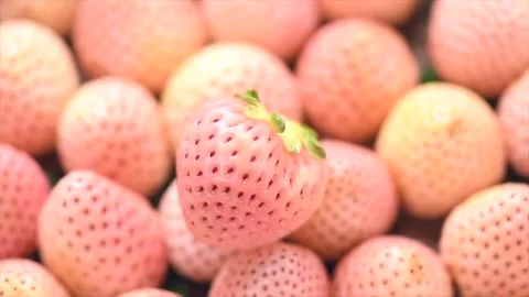 White strawberry background, Pineberry. Strawberry, fresh white strawberries Stock Footage 336528852