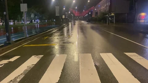 White Stray Dog Crossing an Empty Street Under Festive Lights at Night 스톡 동영상 347737968