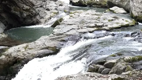 The white stream through moss stone in Japan rural area Stock Footage 108377834