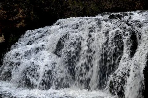 White stream waterfall flowing in dark green forests at night long exposure Stock Photos