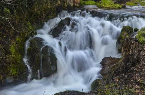 White stream waterfall flowing in dark green forests at night long exposure Stock Photos