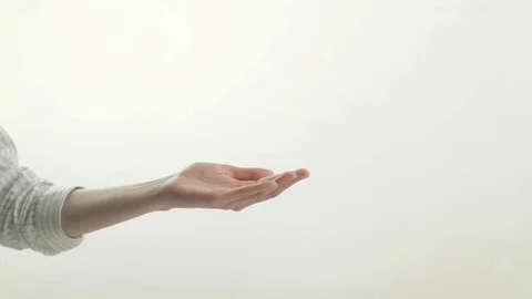 White Studio Stock Footage 85031647