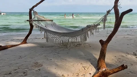 White Stylish Hammock on Two Trees with Ocean View Stock Footage 240882502