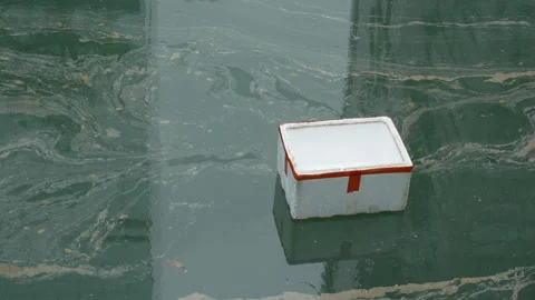 White styrofoam box floating alone on polluted dark green water surface with Stock Footage 336847654