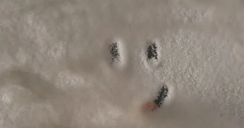 White sugar smiley drawing from below 4K pro res Stock-Footage 274906989