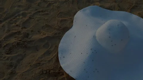 White sun hat lying on sandy beach with small insects, close view of summer Stock Footage 345607718