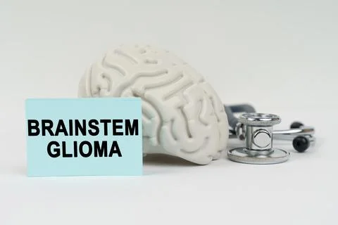 On a white surface next to the brain there is a stethoscope and stickers wi.. Stock Photos