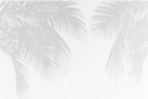 White surface with reflections. Smooth minimal light waves background. Blur.. Foto stock