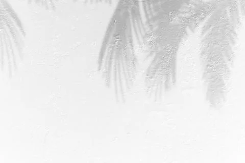 White surface with reflections. Smooth minimal light waves background. Blur.. Stock Photos