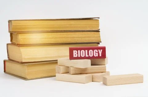 On a white surface, a stack of books and wooden blocks, on a red block there  Stock Photos