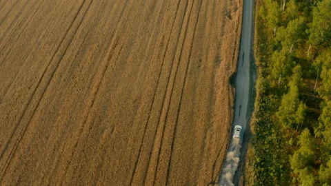 White suv car is fast going on rural road near the wheat field. Stock Footage 136211651