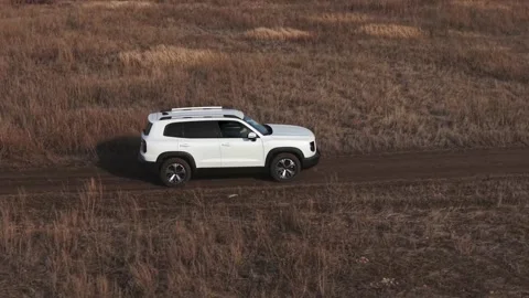 White SUV Conquering Rugged Terrain Through Forest and Steppe Landscapes  Stock Footage 305278014