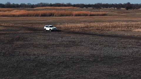 White SUV Conquering Rugged Terrain Through Forest and Steppe Landscapes  Stock Footage 305278022