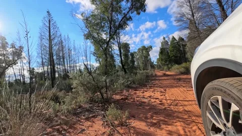 White SUV Driving on Red Dirt Road in The Pilliga Outback Stock Footage 345486401