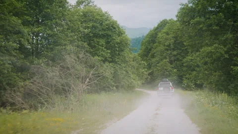 White SUV Driving Through Dense Forest Corridor in Mountains Video stock 343966449