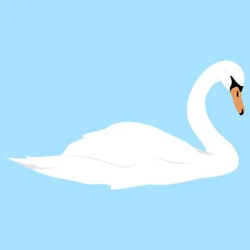 White swan Stock Illustration