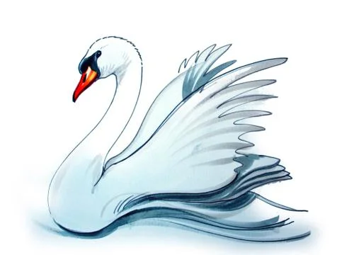 White swan Illustrazione stock