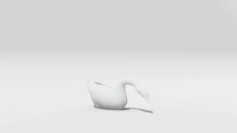 "White Swan on Plain White Background — Isolated Animal" Video stock 300410294