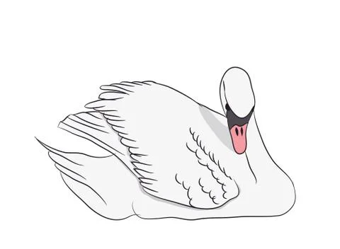 White swan. vector Stock Illustration