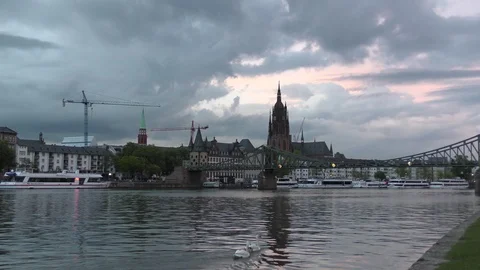 White swans floating down during sunset on Main river in Frankfurt Stock Footage 103333633