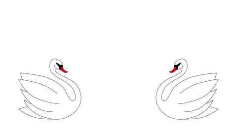 White swans in love Stockbeeldmateriaal 146972176