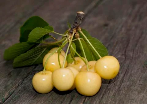 White sweet cherry on an old table close up Stock Photos