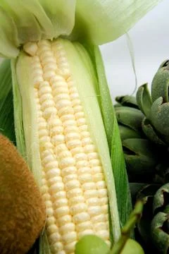White sweet corn Stock-Fotos
