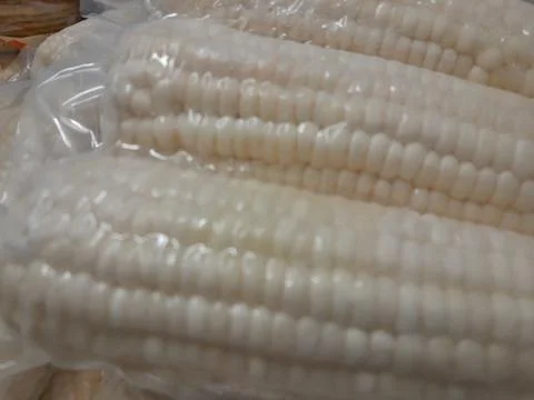 White Sweet Corn vegetable in plastic pack 写真素材