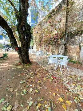 A white table and chairs stand under a large tree. Cafe in Lisbon Stock Photos