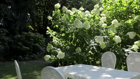 White table in big garden Stock Footage 101290609