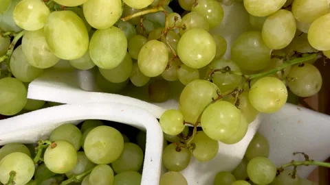 White table grapes displayed with foam dividers Stock Footage 283580230