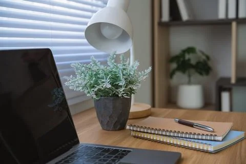 White Table Lamp, Small Potted Plant, and Notebooks with Pen on Wooden Desk.. Foto stock