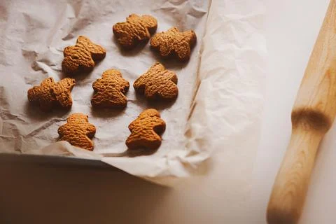 On a white table there is a baking tray with baking paper and homemade ginger Stock Photos