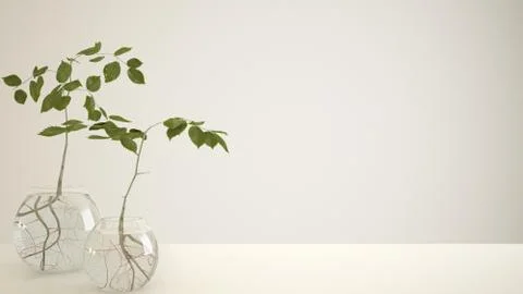 White table top or shelf with glass vase with hydroponic plant, ornament, roo Stock Illustration