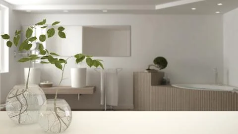 White table top or shelf with glass vase with hydroponic plant, ornament, roo Stock Illustration
