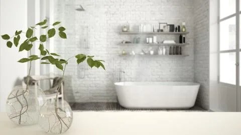 White table top or shelf with glass vase with hydroponic plant, ornament, roo Stock Illustration
