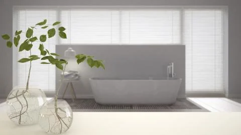 White table top or shelf with glass vase with hydroponic plant, ornament, roo Stock Illustration