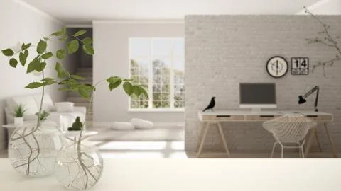 White table top or shelf with glass vase with hydroponic plant, ornament, roo Stock Illustration