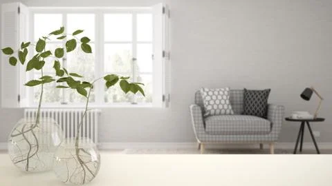 White table top or shelf with glass vase with hydroponic plant, ornament, roo Stock Illustration