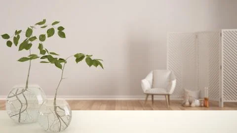 White table top or shelf with glass vase with hydroponic plant, ornament, roo Stock Illustration
