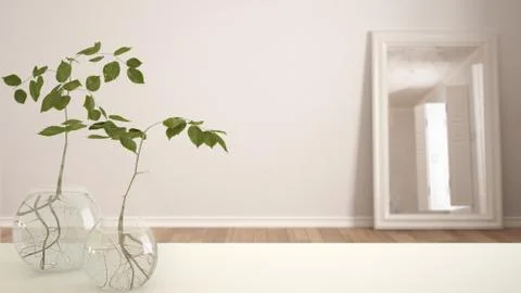 White table top or shelf with glass vase with hydroponic plant, ornament, roo Stock Illustration