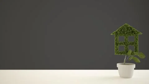 White table top or shelf with green plant in pot shaped like house, gray back Stock Illustration
