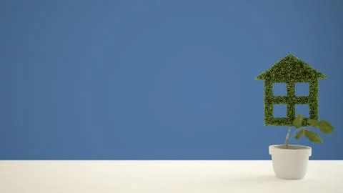 White table top or shelf with green plant in pot shaped like house, blue back Stock Illustration