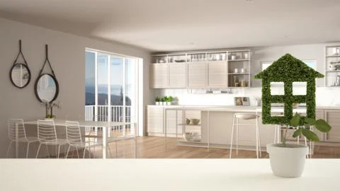 White table top or shelf with green plant in pot shaped like house, modern bl Stock Illustration