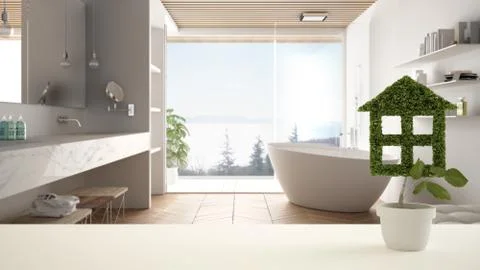 White table top or shelf with green plant in pot shaped like house, minimalis Stock Illustration
